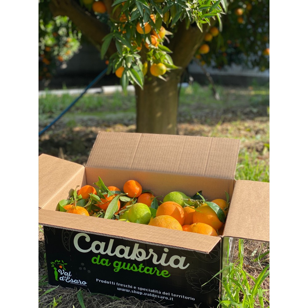 Box di agrumi con bergamotto