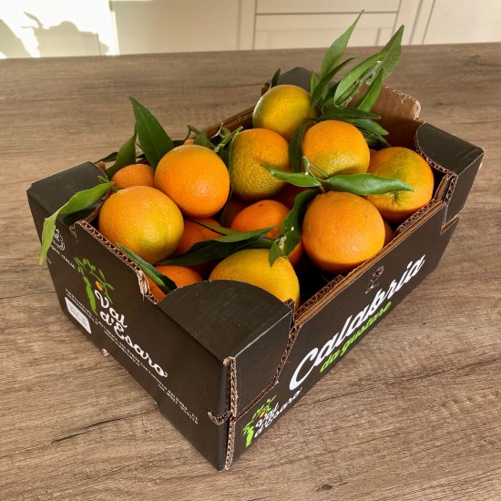 Clementine di Calabria