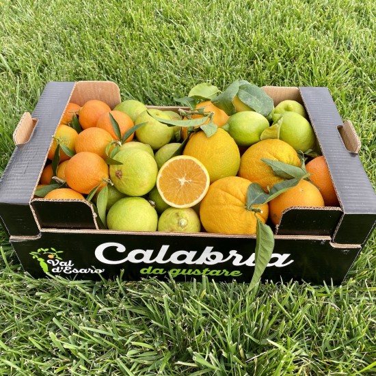 Box di agrumi con bergamotto