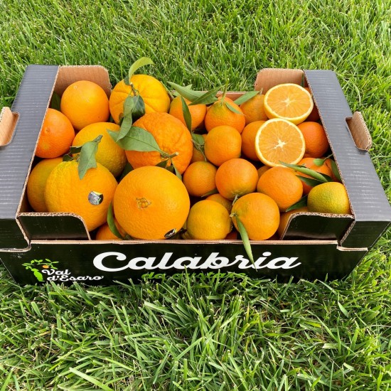 Box di clementine e arance