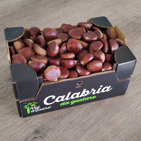 Castagne di Calabria (calibro grande)