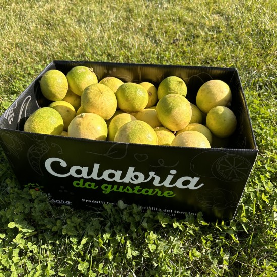 Bergamotto di Reggio Calabria