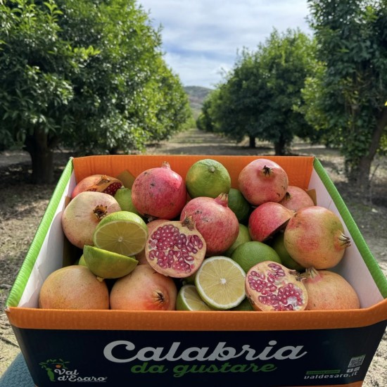 Box anti-ossidante...