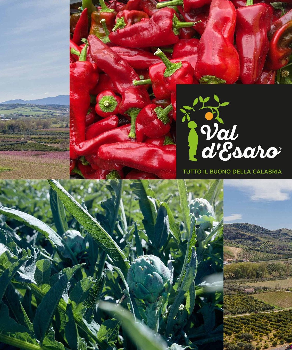 Val d'Esaro, tutto il buono della Calabria