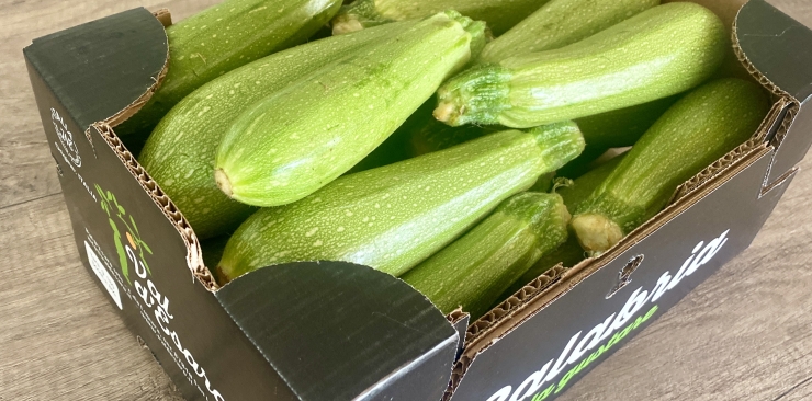 Zucchine Bianche: perchè sono le preferite in calabria?