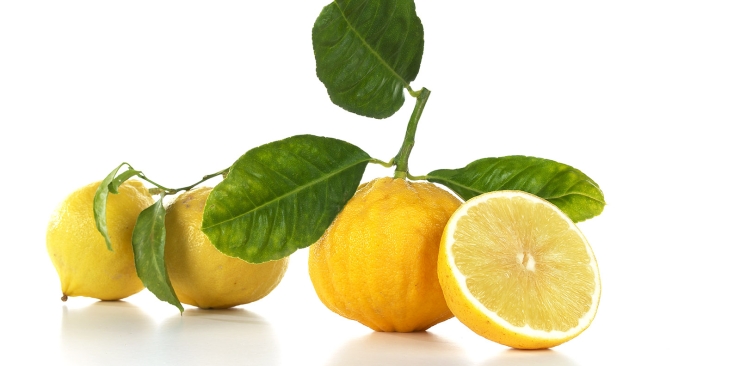 I benefici del bergamotto calabrese: proprietà, usi e curiosità