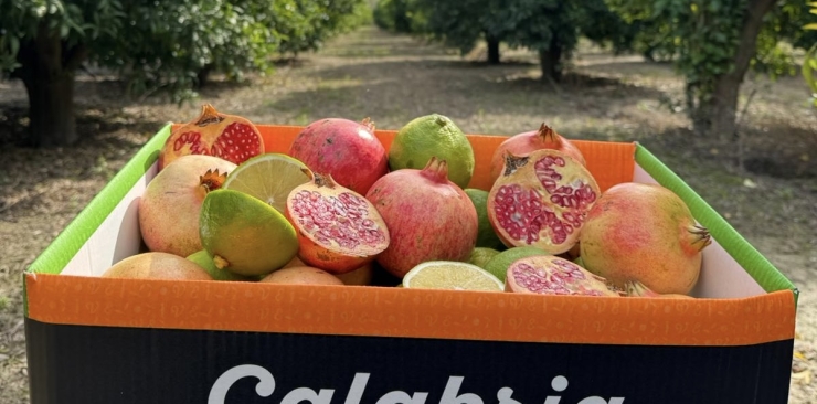 Box Bergamotto e Melograno Freschi – Antiossidanti naturali per il cuore