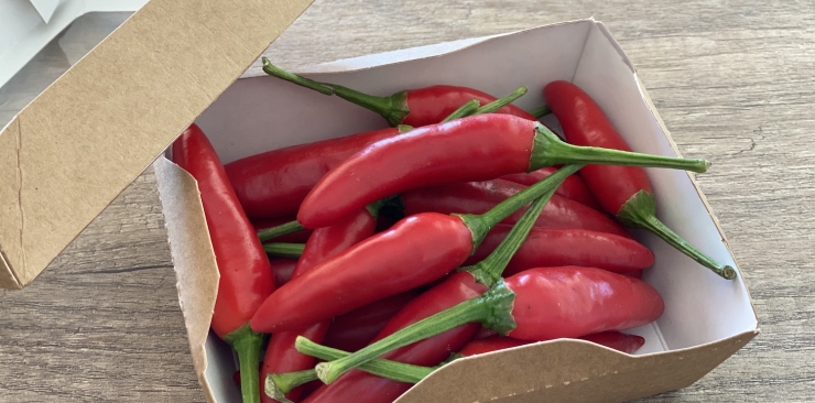 Peperoncino Fresco Calabrese: Quando Comprarlo E Perché Da Valdesaro Lo Trovi Quasi Tutto L'Anno